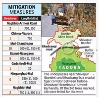 Work on first 750m wildlife underpass starts near Tadoba