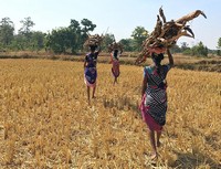 "Heater Of Hope" Brings Respite To Women And Wildlife By Reducing Fuelwood Consumption In Bramhapuri, India