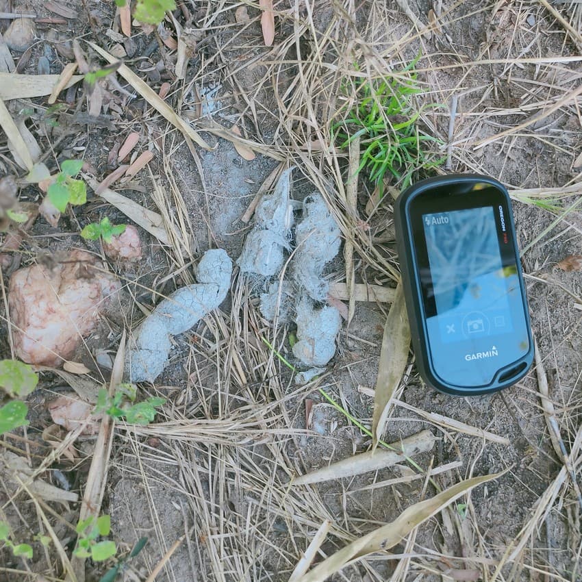 Tiger scat recorded outside a Protected Area