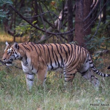 International Day For Biological Diversity