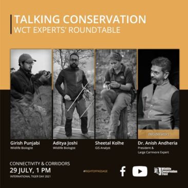 On International Tiger Day, WCT's Conservation Scientists and Experts - Dr. Anish Andheria (President and Large Carnivore Expert), Aditya Joshi (Wildlife Biologist), Girish Punjabi (Wildlife Biologist) and Sheetal Kolhe (GIS Analyst) talk conservation with a focus on Wildlife Corridors and Habitat Connectivity.