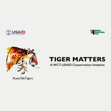 ‘Tiger Matters’ is a conservation documentary film that highlights the critical linkage between tigers, forests, river systems and humans. The film details the intricate and interwoven actions needed to secure the future of tiger habitats and local communities. ‘Tiger Matters’ is a joint programme by WCT and USAID, executed in close cooperation with the forest departments of Maharashtra and Madhya Pradesh.