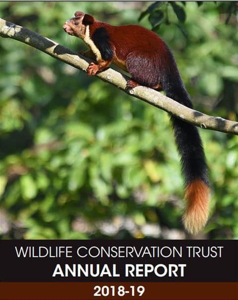 We have put together the annual report to give you a snapshot of the conservation work done by WCT in the course of 2018-19.