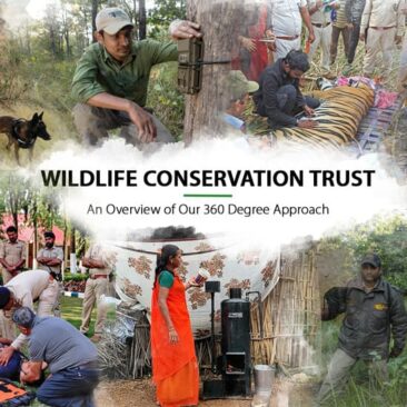 Wildlife Conservation Trust – An Overview of Our 360 Degree Approach