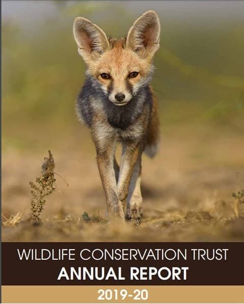 We are happy to present to you our Annual Report for the year 2019-20 to give you a brief overview of the important conservation work carried out by our committed teams.