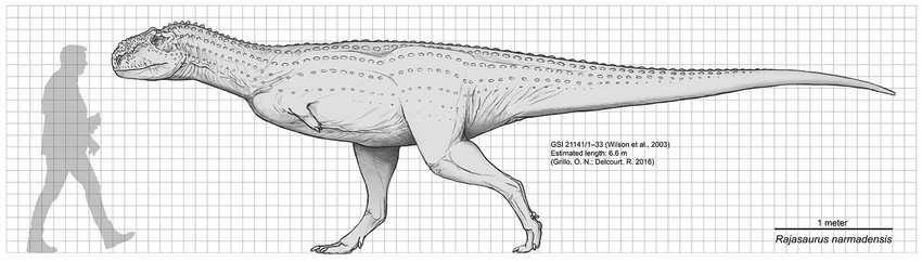 Scale diagram of Rajasaurus narmadensis 