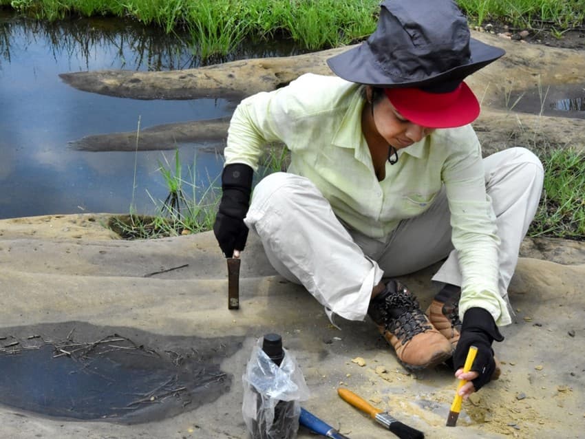 Dr. Sanjukta Chakravorti excavating fossils from Sandstone in the Early Triassic Panchet Formation, West Bengal, India.