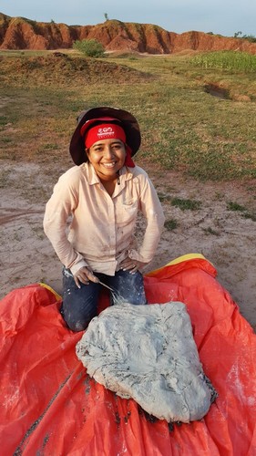 A huge temnospondyl amphibian skull excavated by Dr. Sanjukta Chakravorti at the Late Triassic Gondwana deposit in Madhya Pradesh.