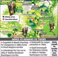 Nagpur: Even as the raging man-animal conflict claimed over 96 lives in Maharashtra in the last 11 months, mostly in Chandrapur and Gadchiroli districts, a maze of mines around tiger-bearing areas are set to aggravate the problem.