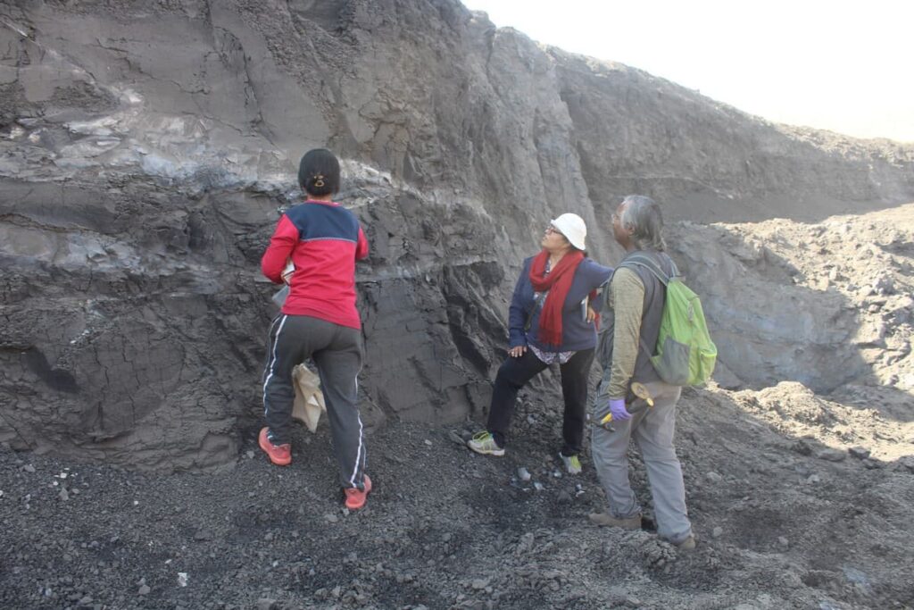 Dr. Mahi Bansal, along with other palaeoscientists at the Institute, has been studying fossil pollen samples of specific plants collected from various locales in India and comparing them with those found in other geographical regions across the globe.