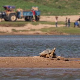 The Menace of Sand Mining in the Gangetic Plains: An Explainer