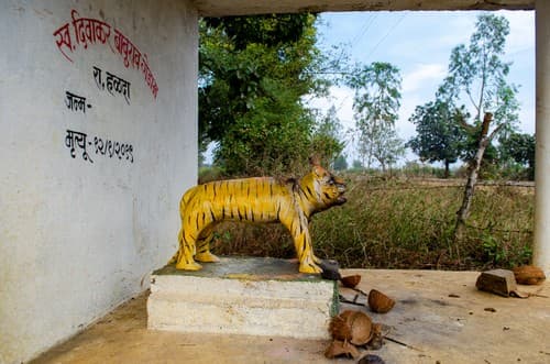 Memorial of a man killed by a tiger