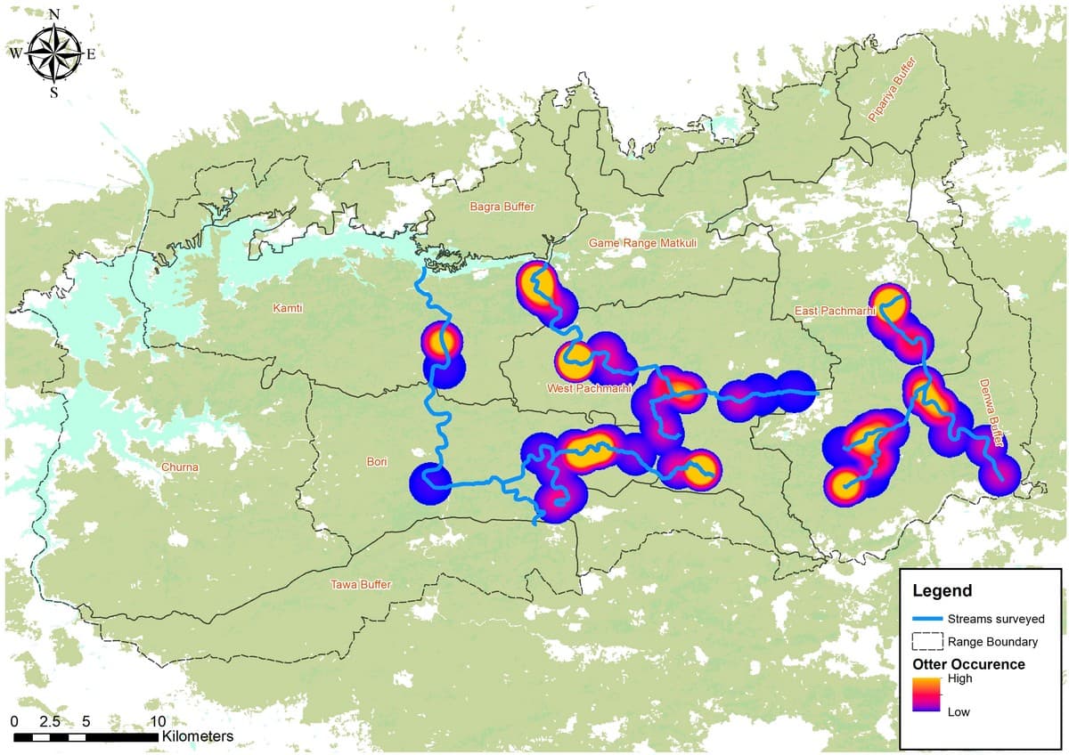 The WCT’s survey of select rivers in the Satpura Tiger Reserve helped understand the nearthreatened Eurasian otter’s occurrence in the region.