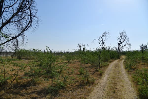 Ecosystem Restoration Programme - Wildlife Conservation Trust