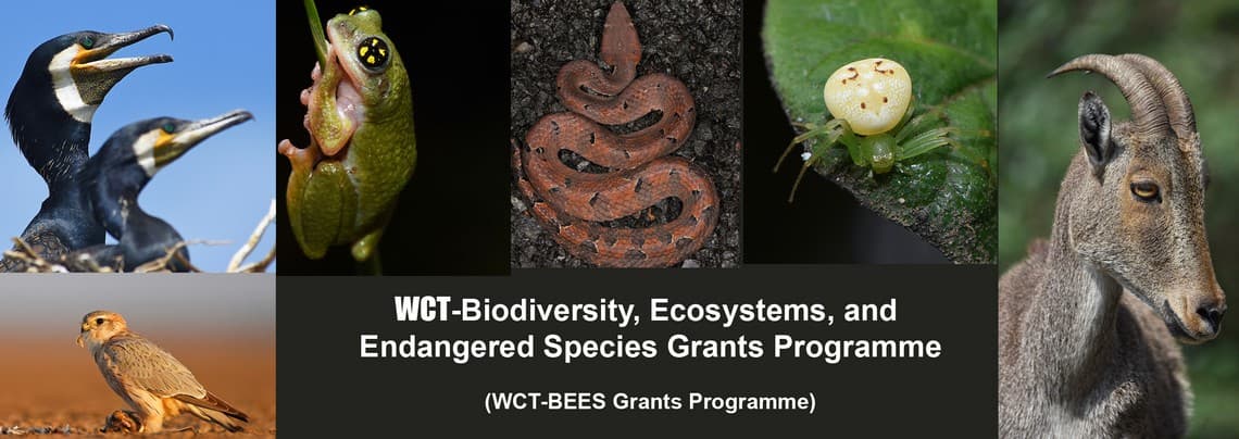 WCT-BEES Grants is a small grants programme started with an objective to encourage and strengthen on-ground conservation and research in India.