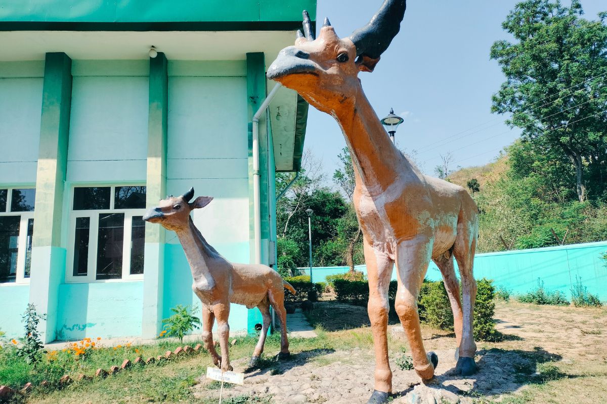 The Siwaliks: Fossil Heaven On Earth - Wildlife Conservation Trust