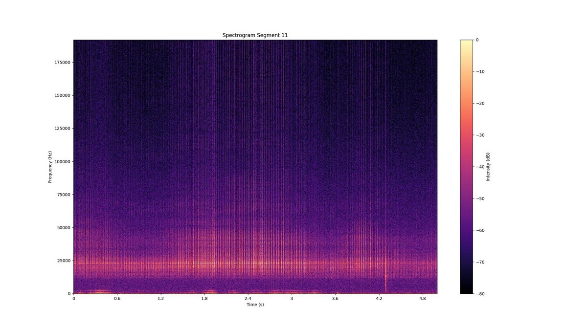 The soundwaves produced by the dolphins can be seen as bright orange vertical lines in this spectrogram. Their high-frequency ultrasonic clicks range from 15-20 kHz all the way to 200 kHz, with the maximum energy at 65-70 kHz. ©WCT