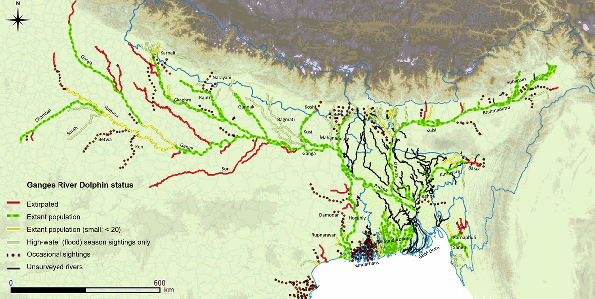 Map depicting the latest status and distribution of the Ganges river dolphin in India’s Gangetic Plains.