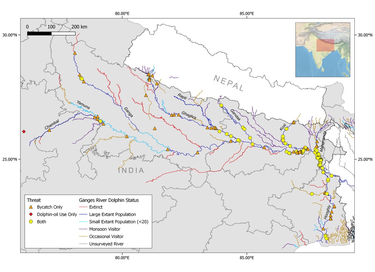 A map showing relative occurrence of bycatch and dolphin oil use across the Gangetic plains in India, prepared from WCT’s informer reports, publications, and media reports.