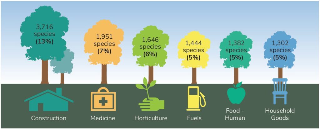 The most common uses for trees as recorded on the IUCN Red list (2020.3).