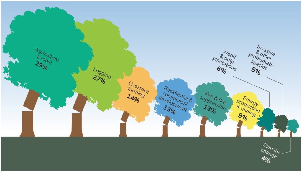 The main threats and percentage of trees affected as recorded on the IUCN Red list (2020.3).