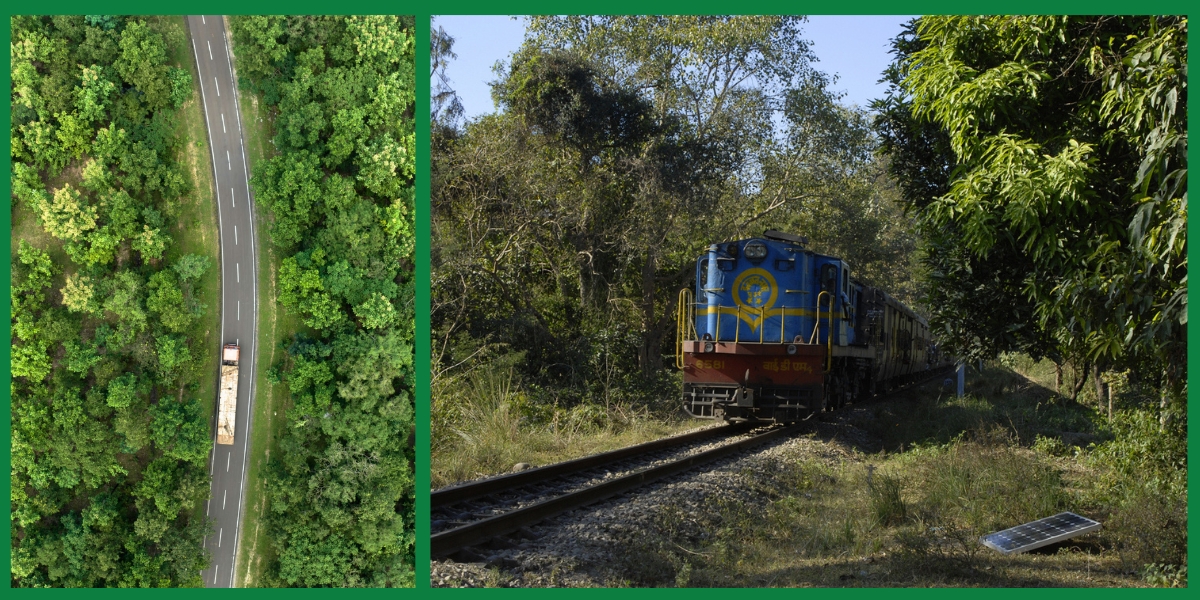 Linear infrastructure such as roads and railway lines running through wildlife habitats can severely hamper wildlife connectivity.