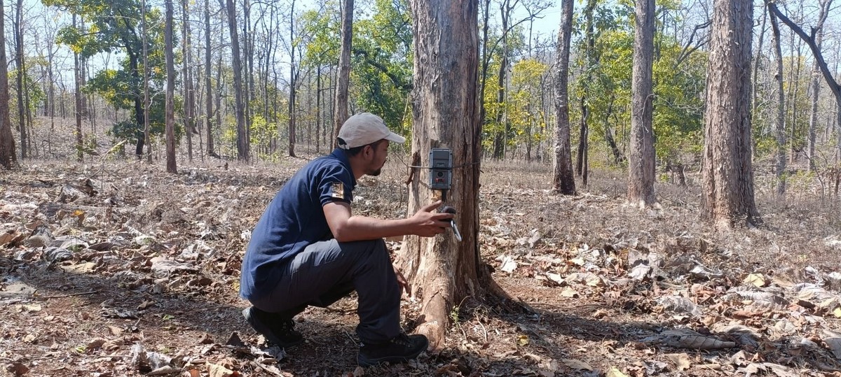 WCT conducts camera-trap based surveys in critical wildlife corridors to identify high priority sites where mitigation structures are required. ©WCT