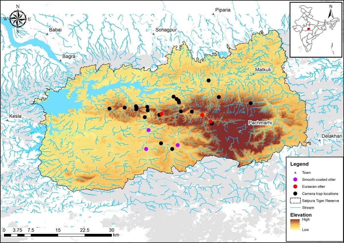 Distribution map of Eurasian and smooth-coated otters in the Satpura Tiger Reserve. Photo: WCT