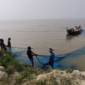 Riverine Fisheries to Pond-based Aquaculture: Lack of Governance Hindering a Much-needed Transition?