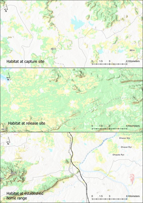 This visualisation compares the habitats of a translocated leopardess’s capture and release sites, with the site at which it finally established its home range post translocation. The significant difference in the habitats at the capture and release sites influenced the leopardess’s behaviour and movement patterns post-release.