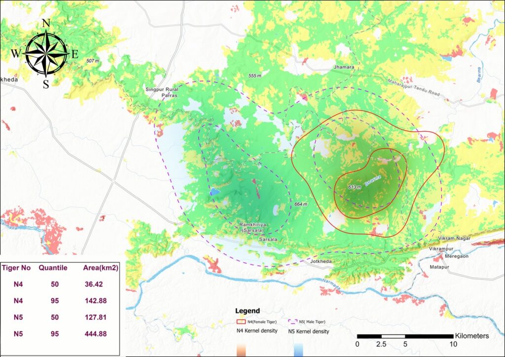 This map shows the home ranges of two male tigers rescued from different conflict situations, and translocated to a Protected Area in Madhya Pradesh. This visualisation was created using the GPS locations of the two tigers. The dotted line indicates the territory of one male tiger, while the solid line represents that of another male.